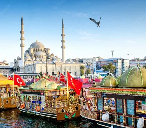 turkey tourist visa agent
